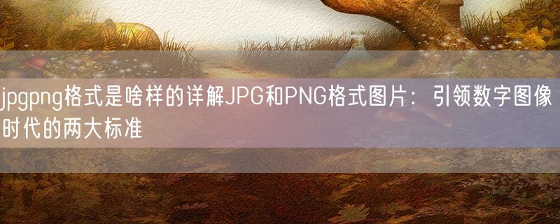 <strong>jpgpng格式是啥样的详解JPG和PNG格式图片：引领数字图像时代的两大标准</strong>