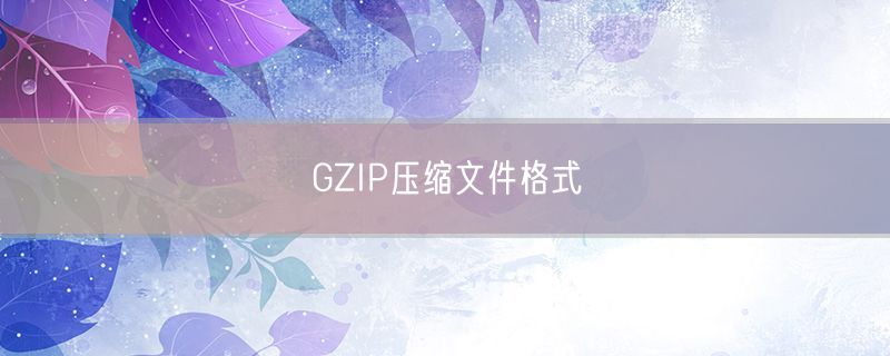 <strong>GZIP压缩文件格式</strong>