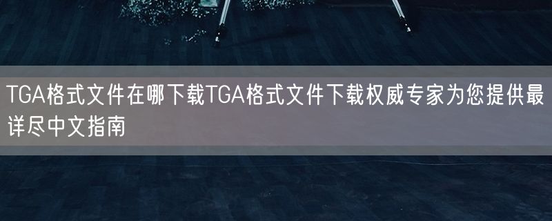 TGA格式文件在哪下载TGA格式文件下载权威专家为您提供最详尽中文指南