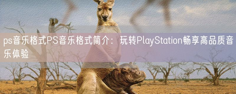 <strong>ps音乐格式PS音乐格式简介：玩转PlayStation畅享高品质音乐体验</strong>