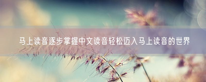 <strong>马上读音逐步掌握中文读音轻松迈入马上读音的世界</strong>