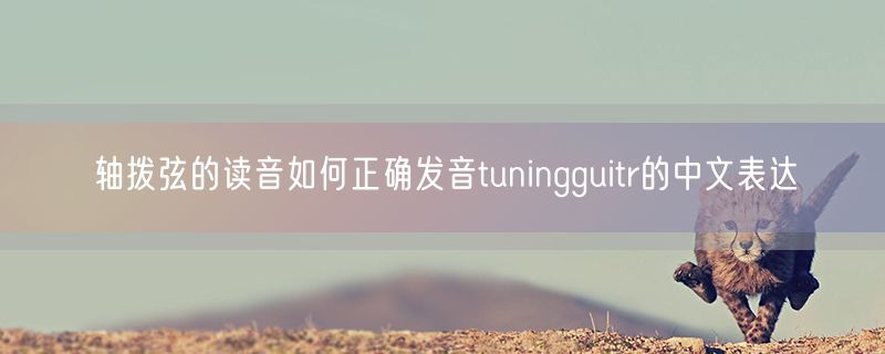 轴拨弦的读音如何正确发音tuningguitr的中文表达