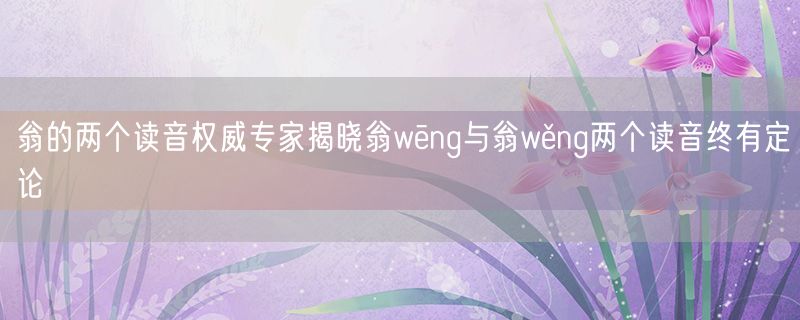 翁的两个读音权威专家揭晓翁wēng与翁wěng两个读音终有定论