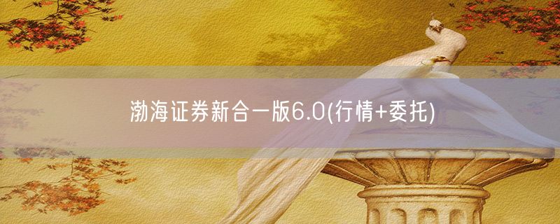 渤海证券新合一版6.0(行情+委托)